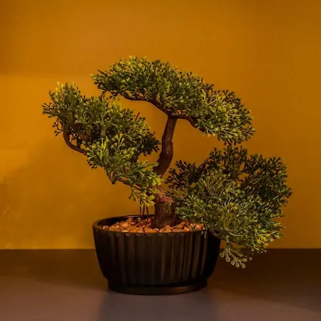 Dom Two Bedroom Central ソフィア
